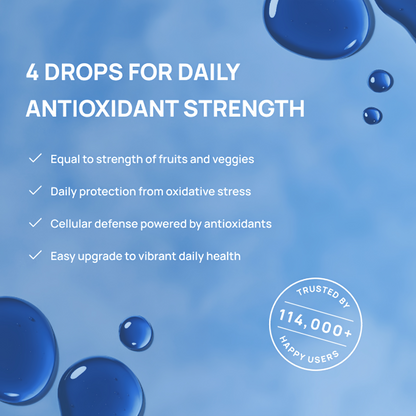 Meraki Methylene Blue Drops – Pharmaceutical Grade Nootropic Supplement for Brain Health - Dietary Supplement Support for Focus & Clarity – Third-Party Tested Formula – 30ml Glass Dropper Bottle